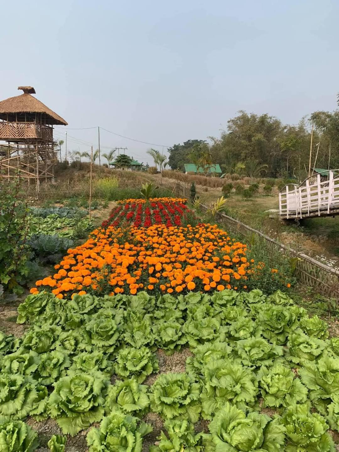 Bogibil Eco Resort New Dibrugarh 外观 照片
