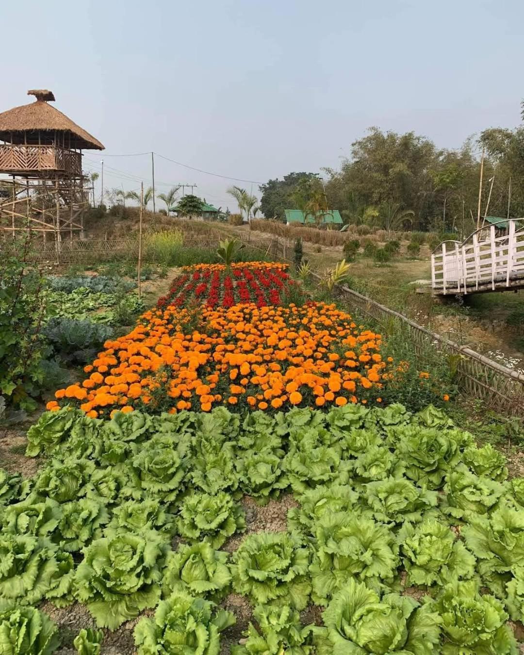 Bogibil Eco Resort New Dibrugarh 外观 照片