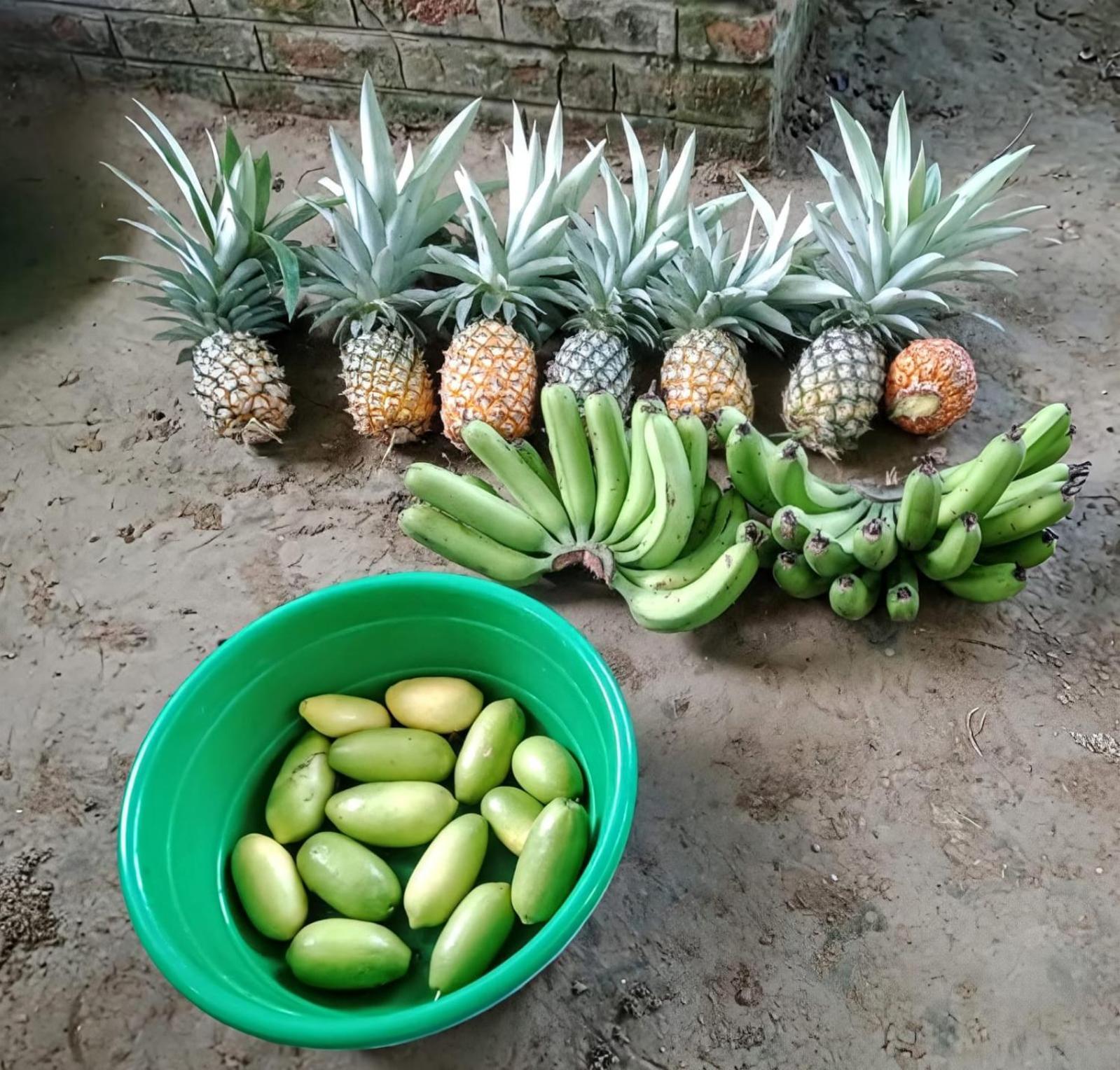 Bogibil Eco Resort New Dibrugarh 外观 照片